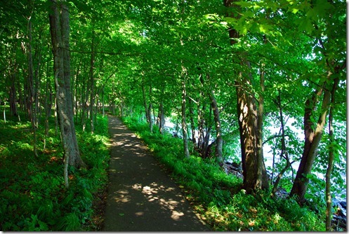 Father Hennepin Trail