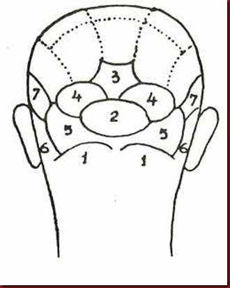 Craniologia 01