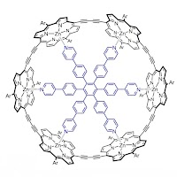 CSH Study Web