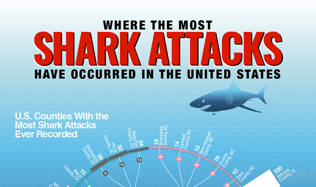 Where the Most Shark Attacks Have Occurred in the United States