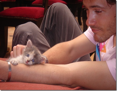boys cats21
