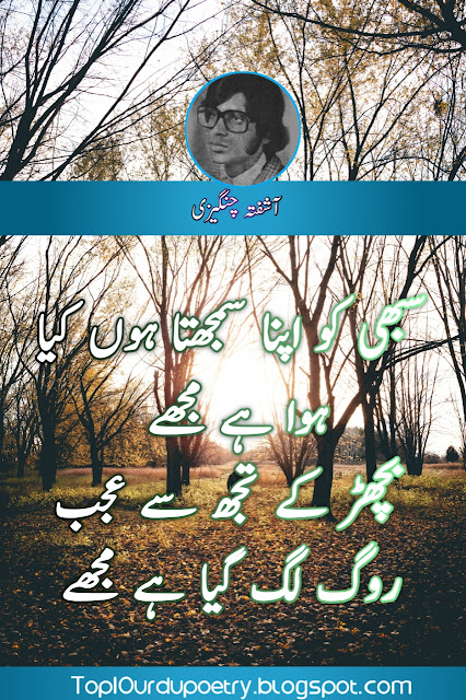 The Best Aashufta Changezi sad Poetry 2023