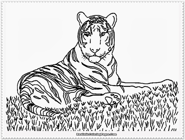 Realistic Animal Coloring Pages Fresh With Photo Of Realistic Animal  Decoration 