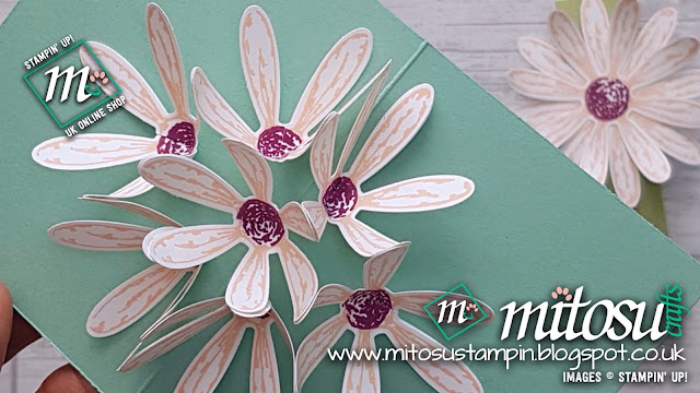 Stampin' Up! Daisy Flower Explosion Pop Up Card Idea with Video Tutorial. Order Cardmaking Products from Mitosu Crafts UK Online Shop