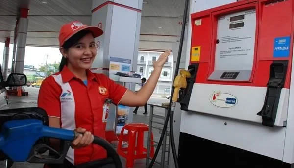 memilih-mobil-untuk-keluarga-ini-yang-harus-diperhatikan