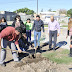 Alumnos plantaron el árbol de San Esteban cuya flor es emblema de la autonomía provincial