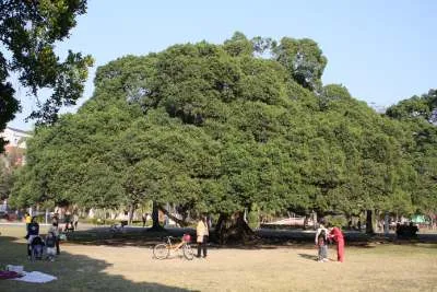 全台灣好拍好玩特色校園 懶人包