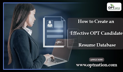 How to Create an Effective OPT Candidate Resume Database