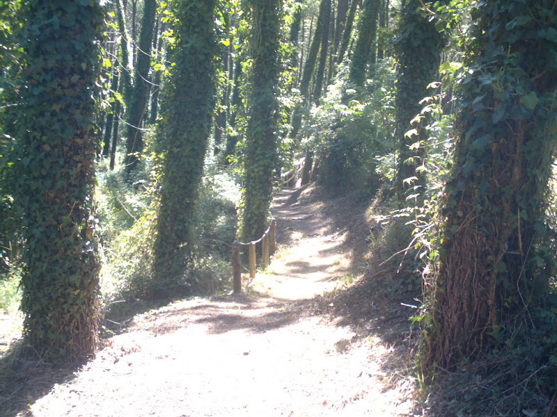 sendero de la Ría de Mogro