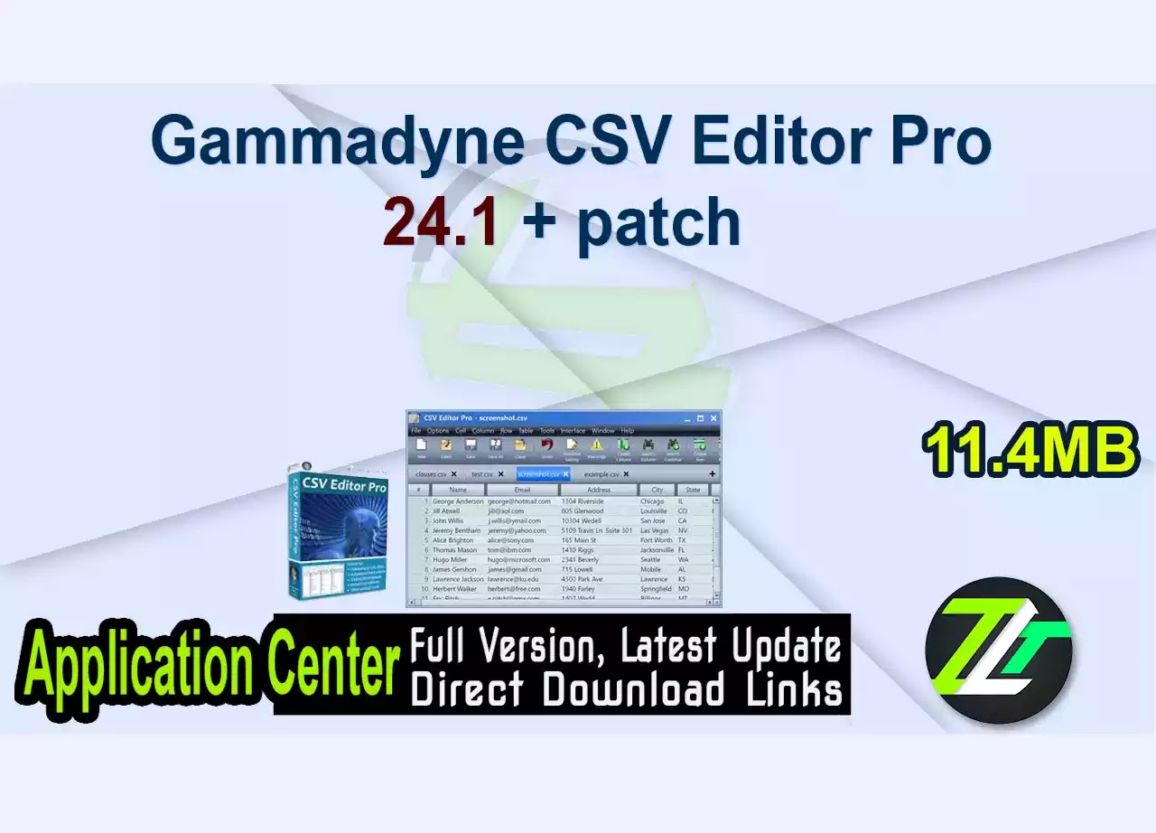 Gammadyne CSV Editor Pro 24.1 + patch 