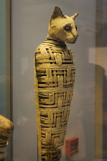 A mummified cat, believed to be guardians of the after world to the Egyptians