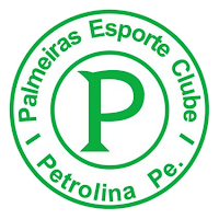 Resultado de imagem para Palmeiras EC PETROLINA