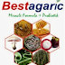 Harga Bestagaric