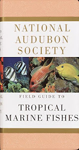 National Audubon Society Field Guide to Tropical Marine Fishes: Caribbean, Gulf of Mexico, Florida, Bahamas, Bermuda (National Audubon Society Field Guides)