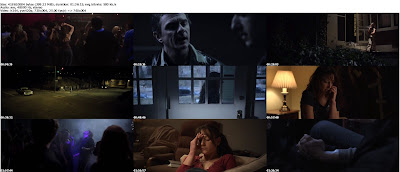 Daylight Fades (2010) DVDRip 400MB