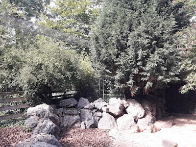 jardin-de-la-roseraie-coeur-du-zoo-de-maubeuge