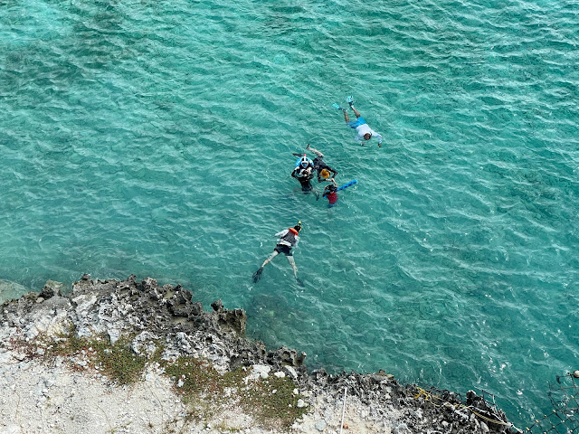 snorkelers