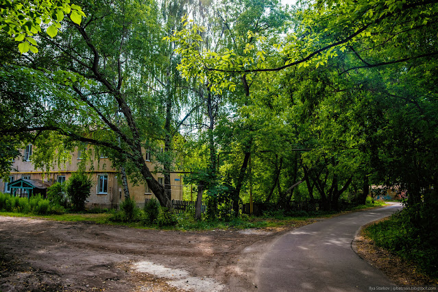 Узкие улочки под тенью деревьев