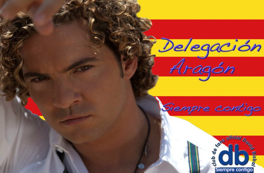 David Bisbal Siempre Contigo, Club de Fans, Espana, Delegacion Aragon