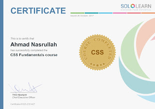 certificate sololearn