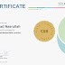 certificate sololearn