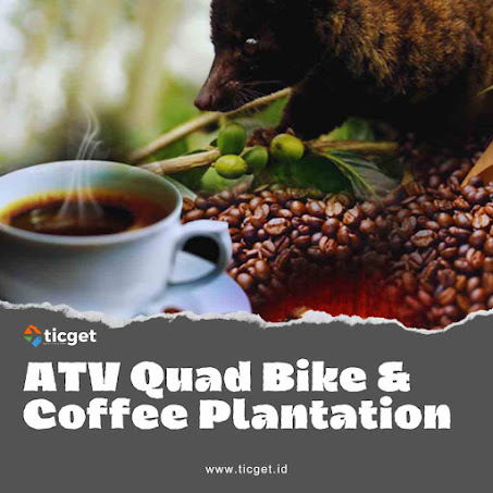 bali-half-day-tour-atv-quad-bike-included-coffee-plantation