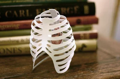 Cut Paper Rib Cage