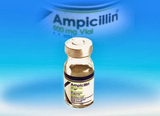 Ampicillin 500mg Vials