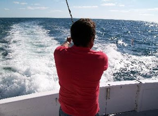 http://www.algarvexcite.com/experience/shark-fishing.html