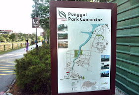 Punggol Park Connector Network (PCN), A respite from the city