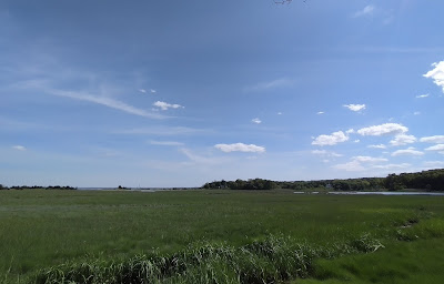 A New England salt marsh in summer, pronounced "sault mash"