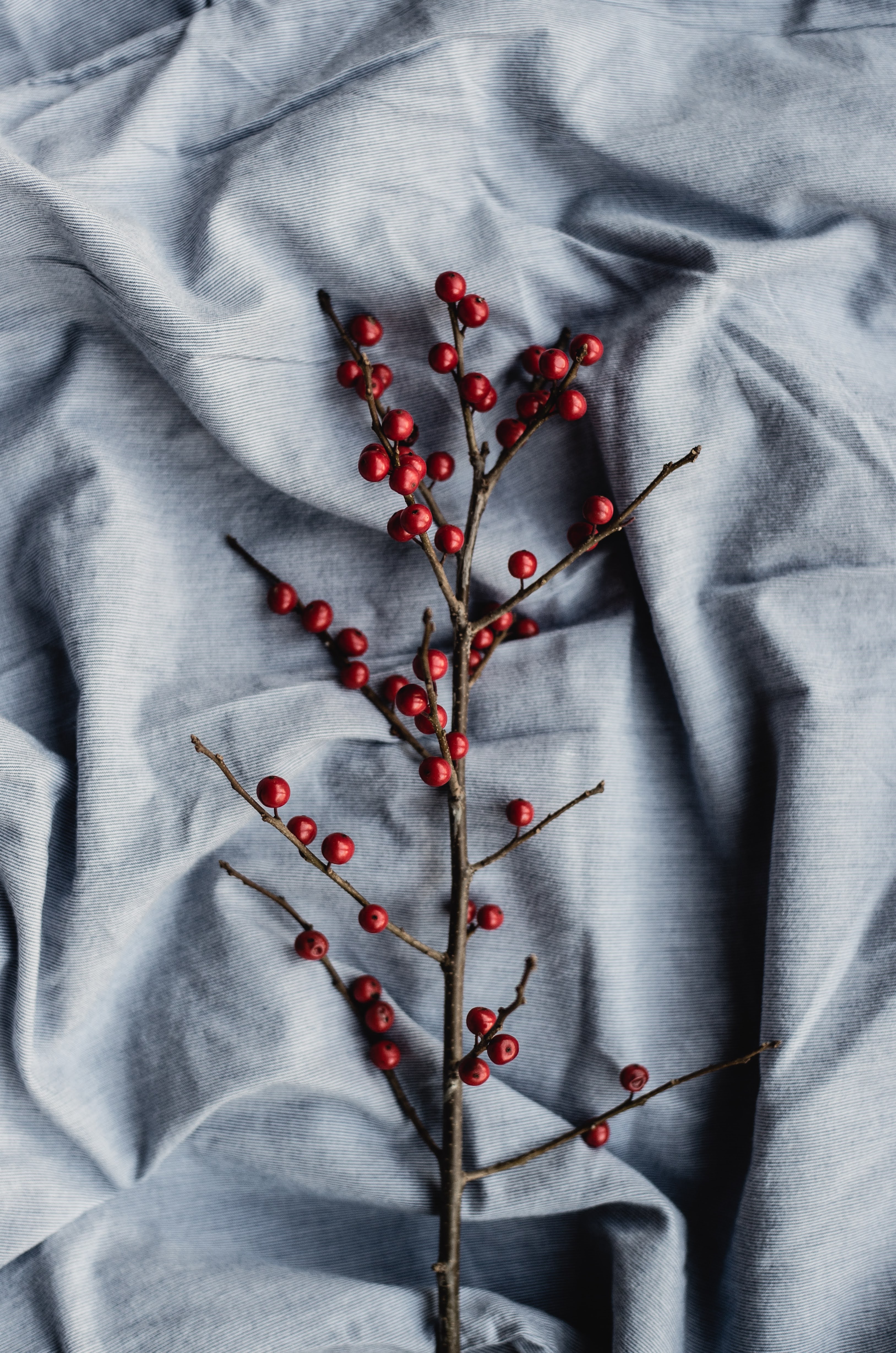 Round Red Fruits | Photo by Annie Spratt via Unsplash