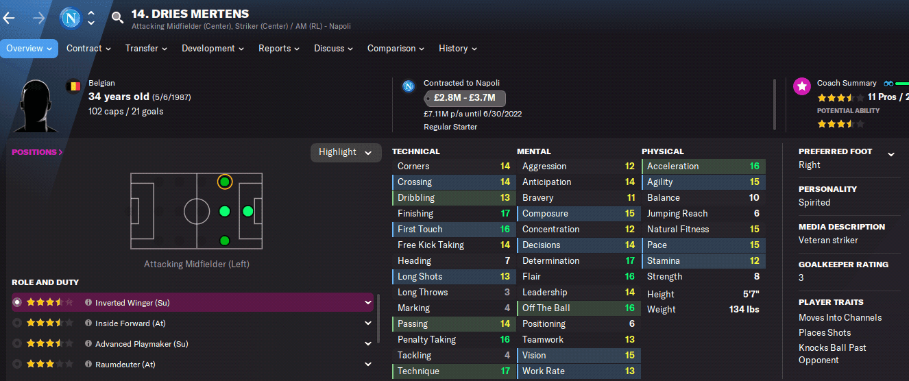 FM22 Dries Mertens