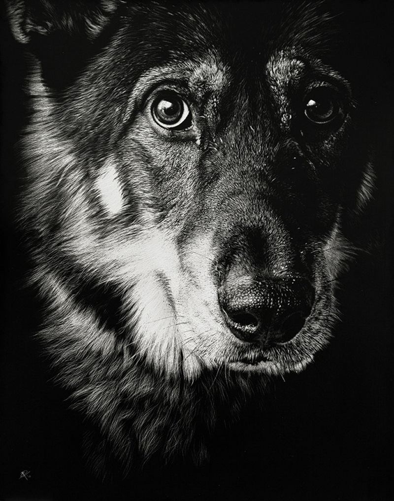 Curious_Observation_by_CristinaPenescu