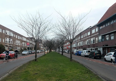 J.C. Kapteinlaan Groningen