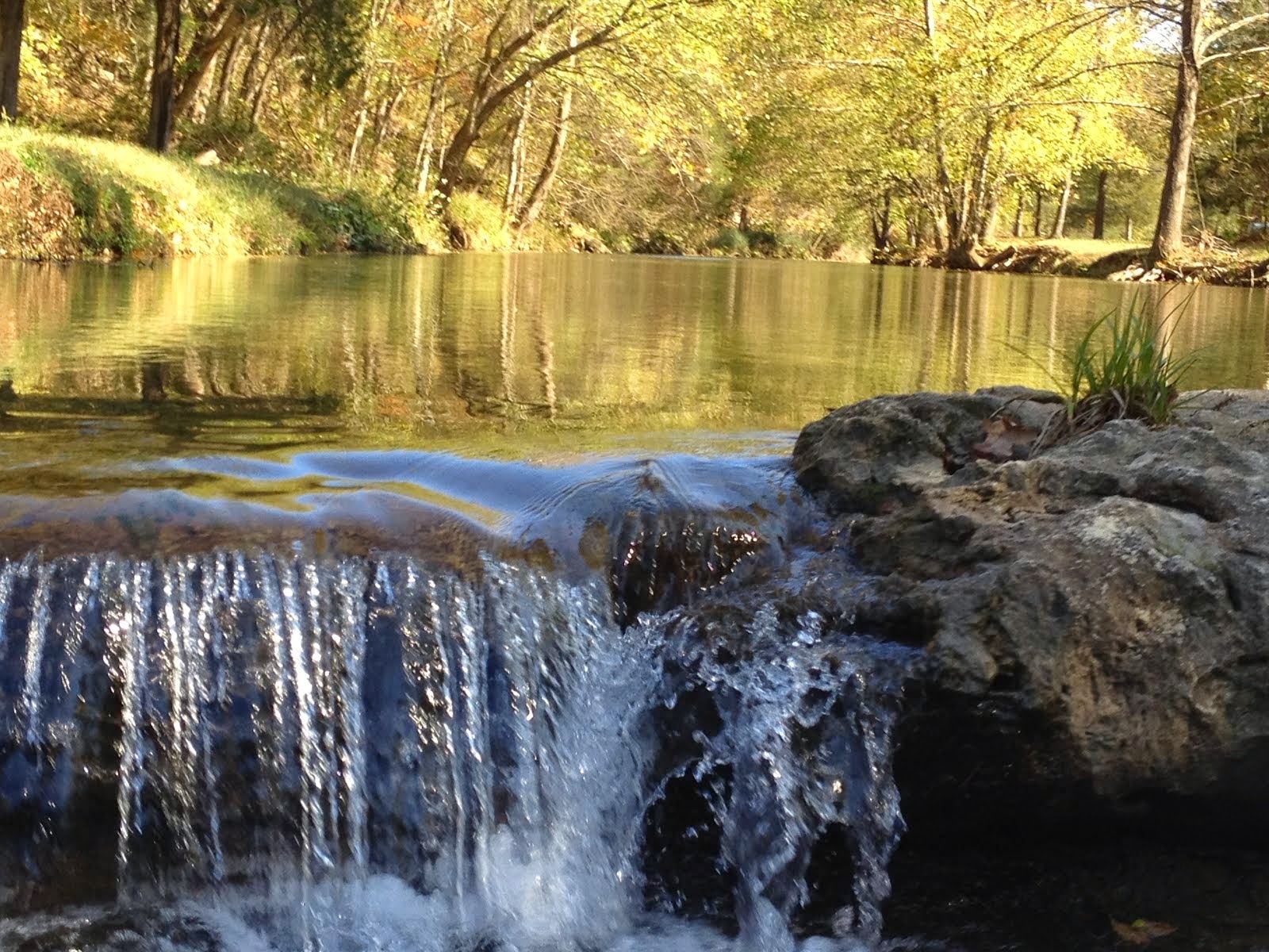 His Word...Streams of Life Giving Water