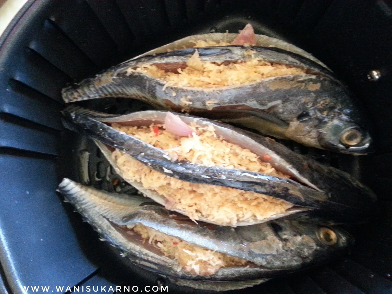 CARA MASAK IKAN CENCARU SUMBAT BAKAR GUNA AIR FRYER