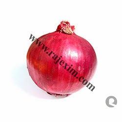 http://www.rajexim.com/onion-supplier.php