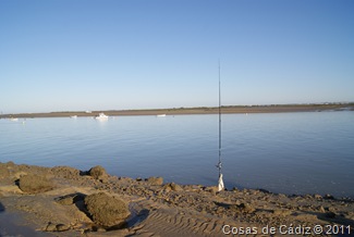 Rio San Pedro 5