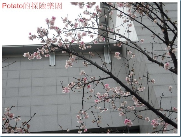 DSCN5669