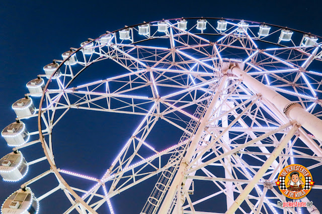 MOA Eye