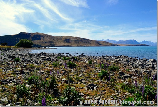 lake tekapo