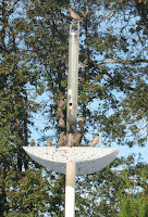 Diy Bird Feeder Pole