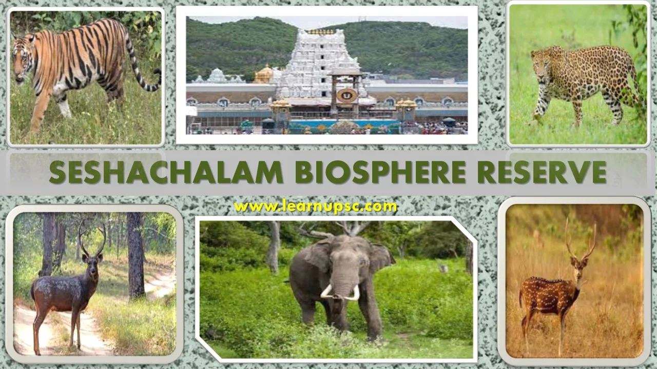 Seshachalam Biosphere Reserve
