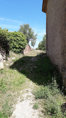 Cabra del Camp a Fontscaldetes, Fontscaldetes