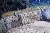 Paman Perkosa dan Bunuh Ponakan, Terungkap Karena Ini