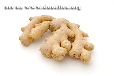 Hình ảnh dược liệu Gừng