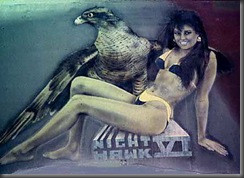 nighthawk6_440