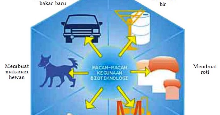 Pengertian dan Manfaat Bioteknologi serta Contoh Produk 