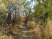 Riverfront Park, Billings, Montana